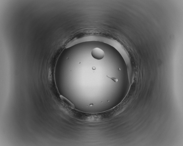 X0000116550700200912101414