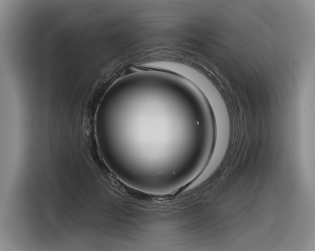 X0000116550701200912101414