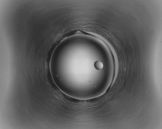 X0000116550704200912101414