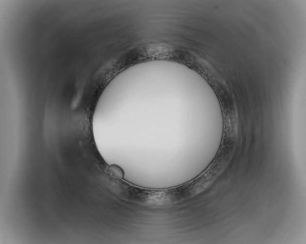 X0000116550705200912101414