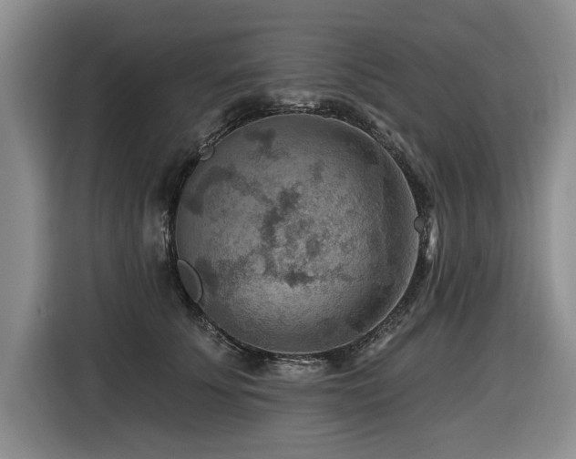 X0000116550707200912101414