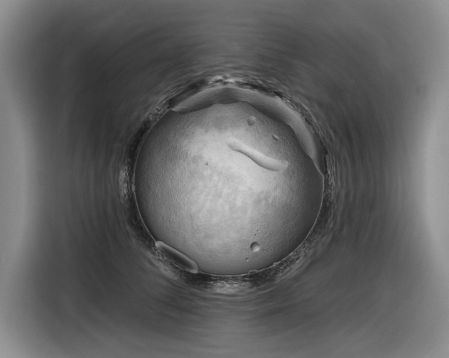 X0000116550708200912101414