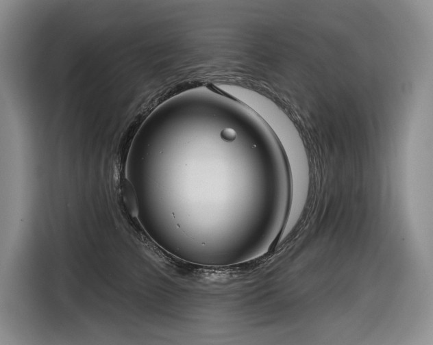 X0000116550709200912101413