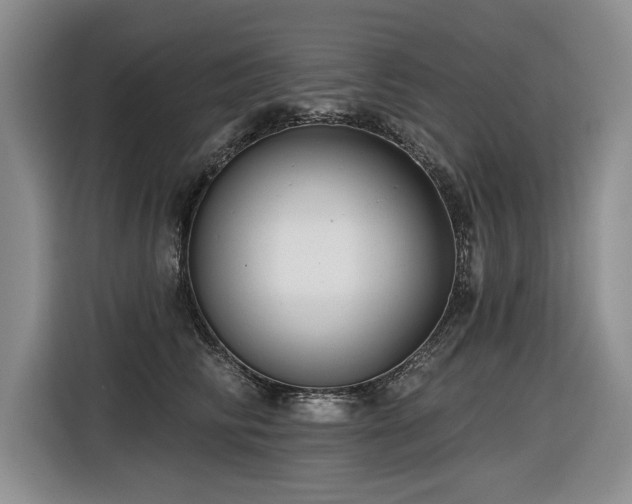 X0000116550710200912101413