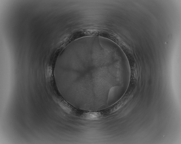 X0000116550711200912101413