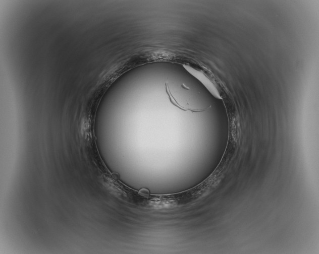 X0000116550714200912101413