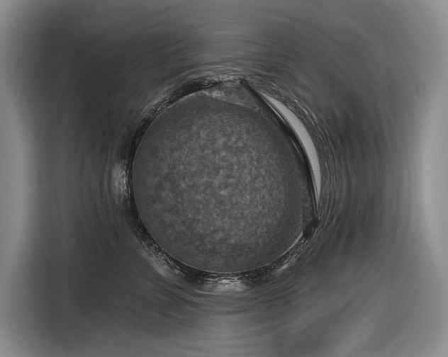 X0000116550715200912101413