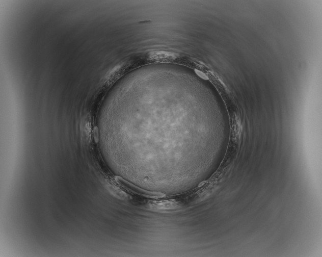 X0000116550716200912101413