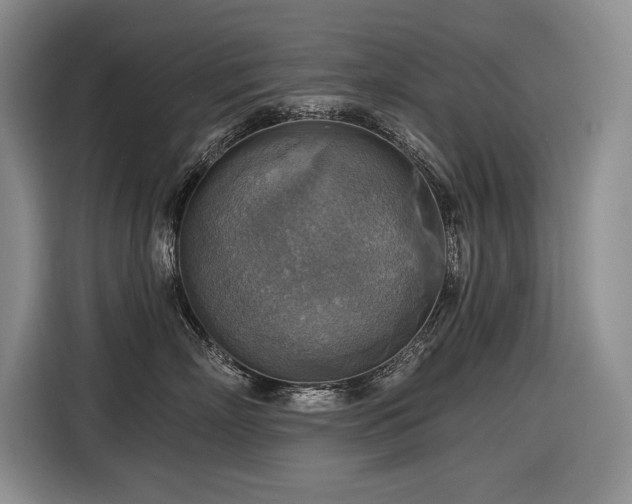 X0000116550718200912101413