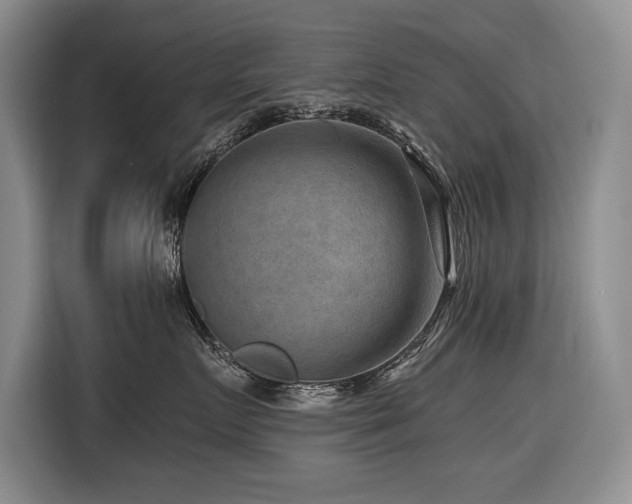 X0000116550719200912101413