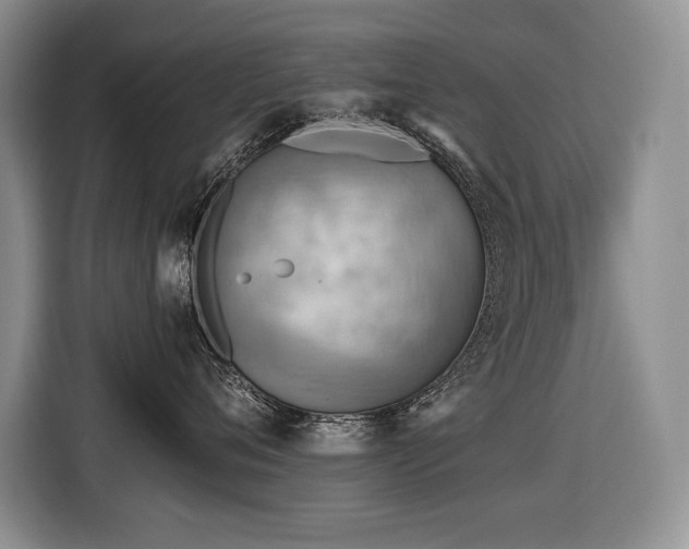 X0000116550720200912101413