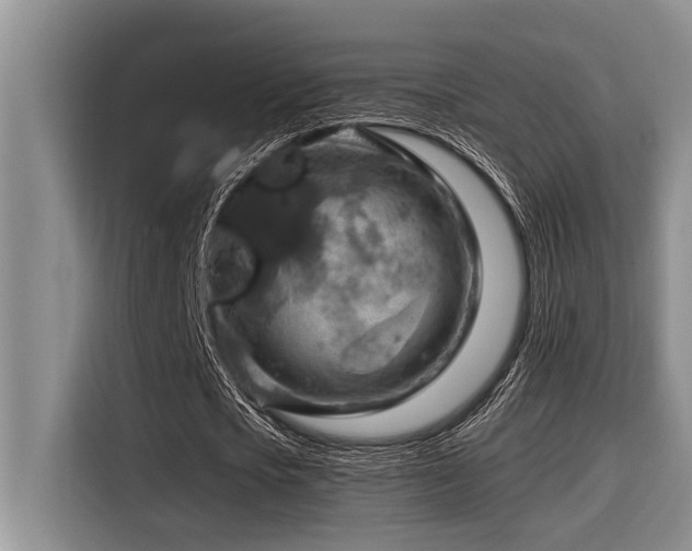 X0000116550721200912101413