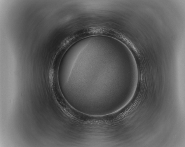 X0000116550722200912101413