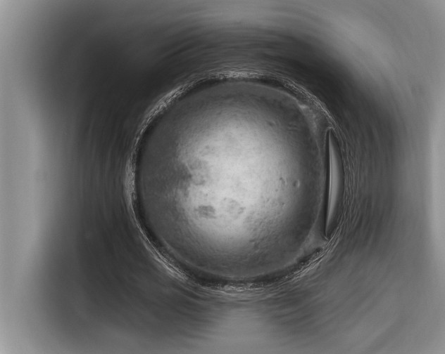 X0000116550725200912101413