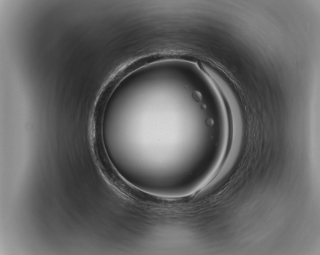 X0000116550726200912101413