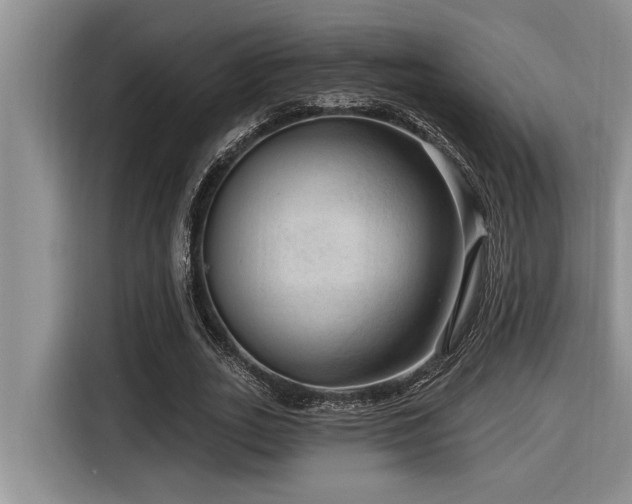 X0000116550727200912101413