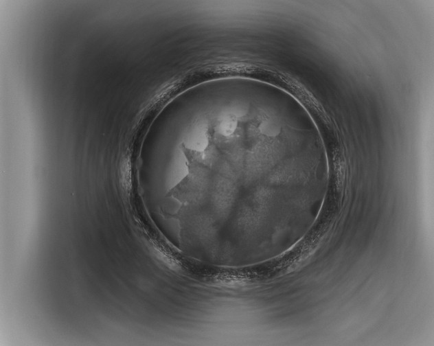 X0000116550729200912101413