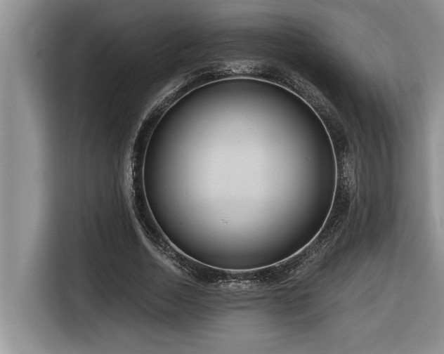 X0000116550730200912101413