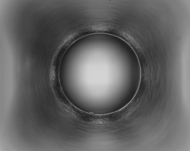 X0000116550731200912101413