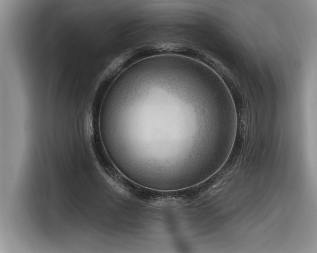 X0000116550734200912101413