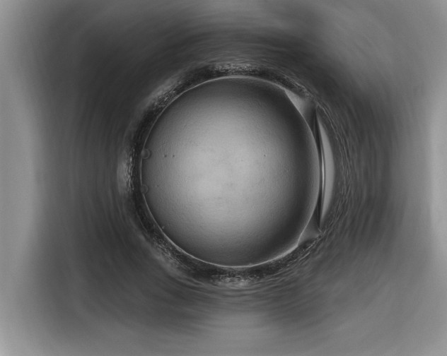 X0000116550735200912101413