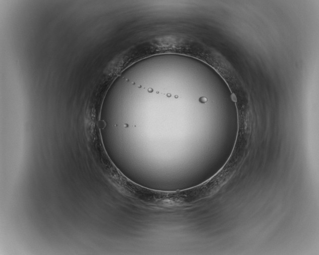 X0000116550737200912101413