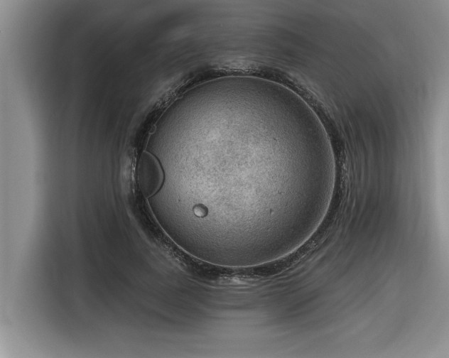 X0000116550739200912101413