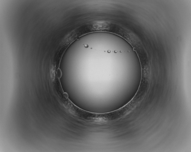 X0000116550741200912101413