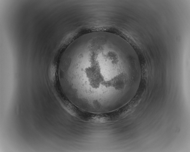 X0000116550742200912101413