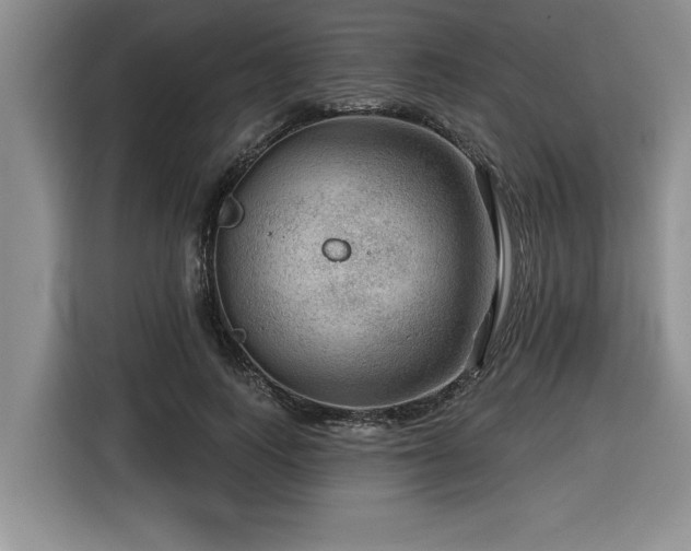 X0000116550743200912101413