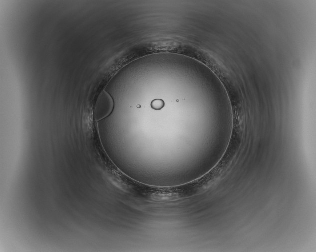 X0000116550745200912101413