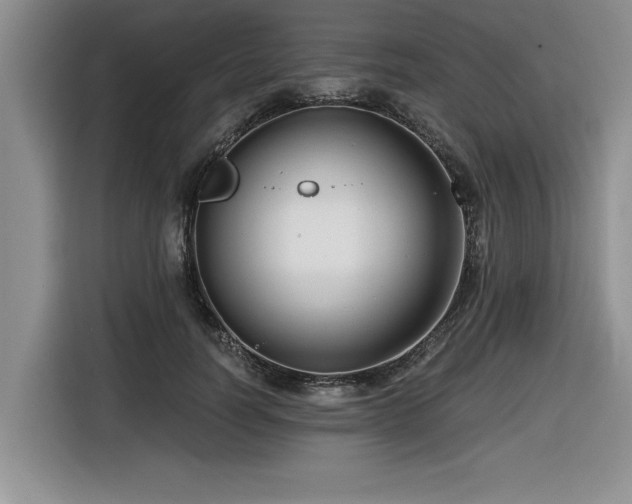 X0000116550746200912101413