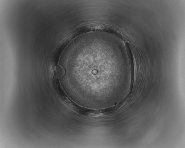 X0000116550747200912101413