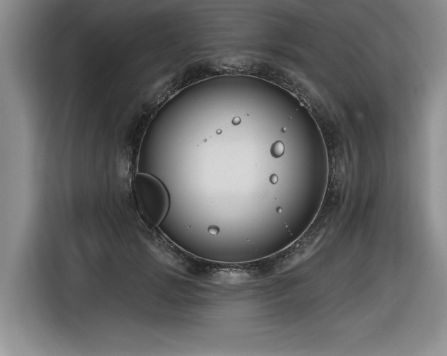 X0000116550749200912101413