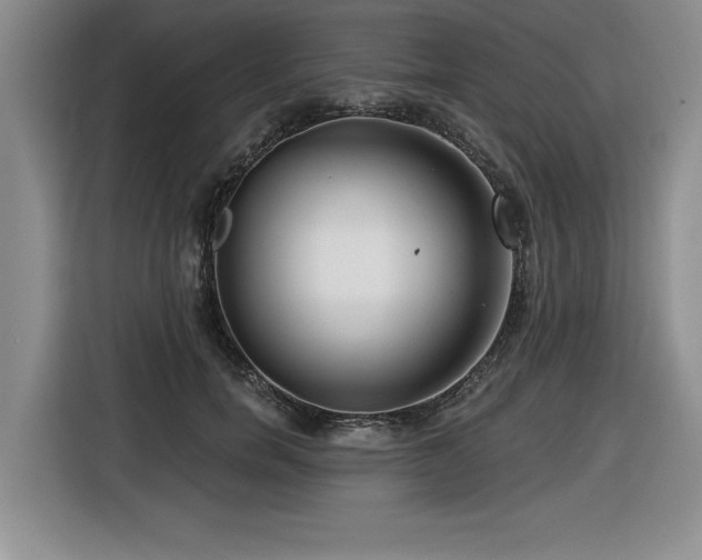 X0000116550750200912101413