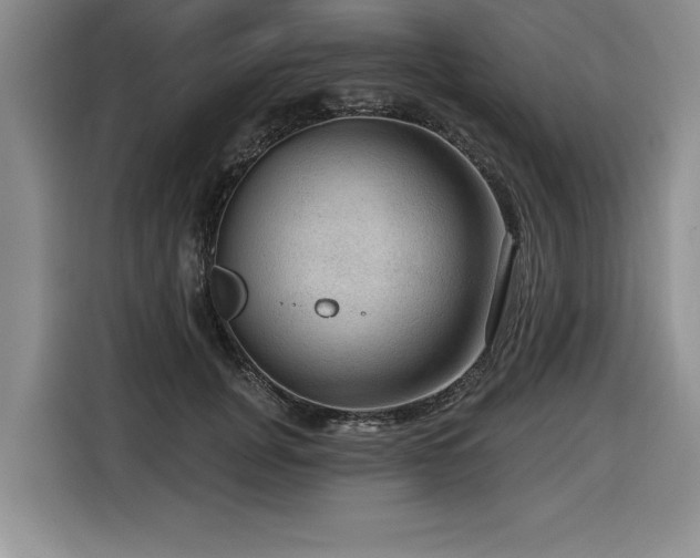 X0000116550751200912101413