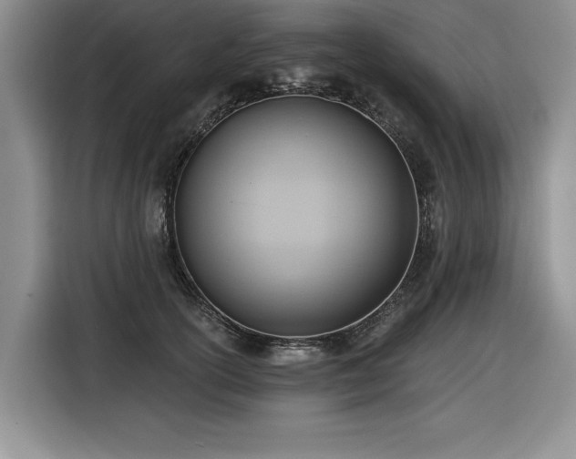 X0000116550754200912101413