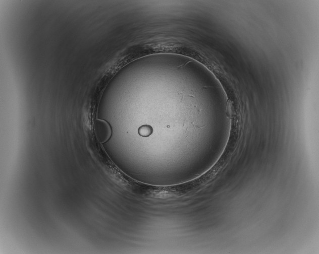 X0000116550755200912101413