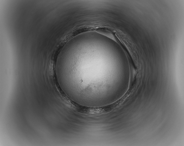 X0000116550757200912101413