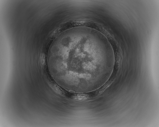 X0000116550758200912101413