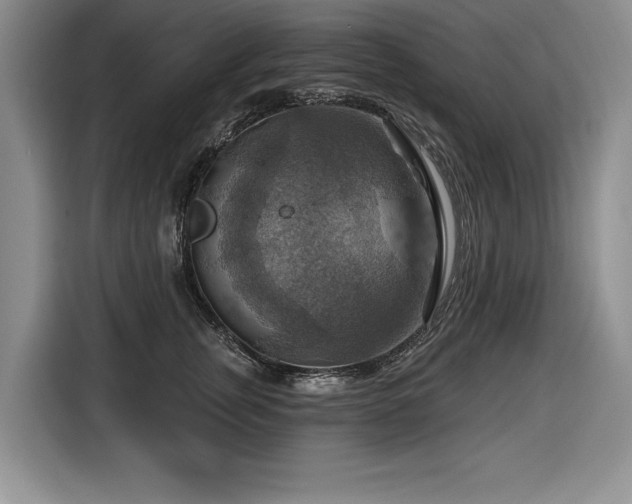 X0000116550759200912101413