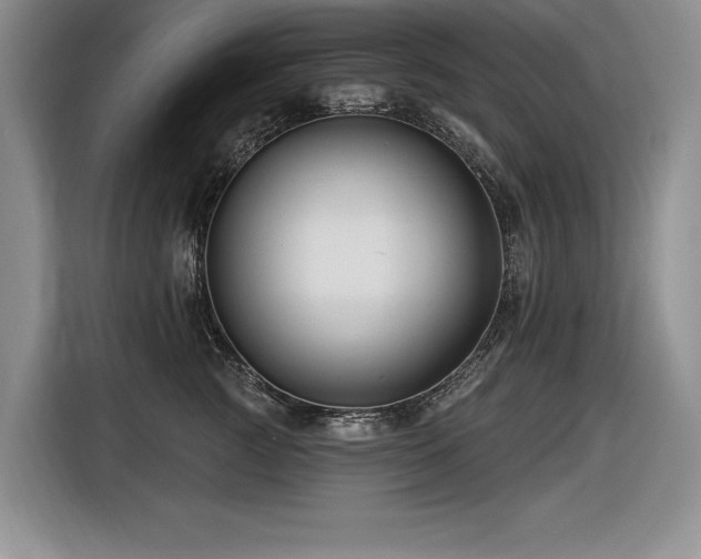 X0000116550761200912101413