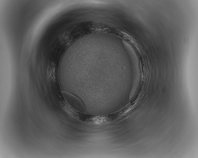 X0000116550762200912101413