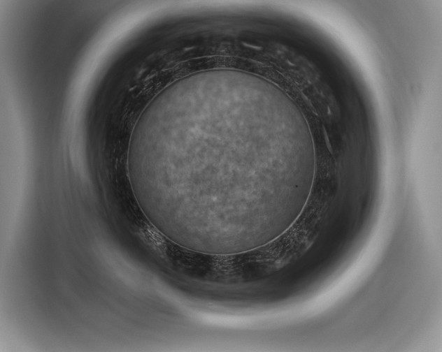 X0000116550766200912101413