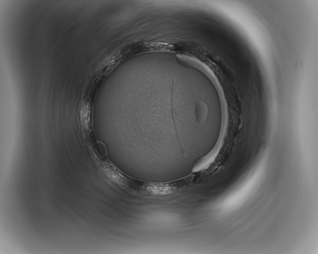 X0000116550767200912101413