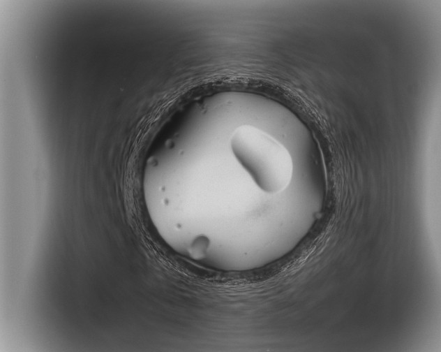 X0000116550769200912101413