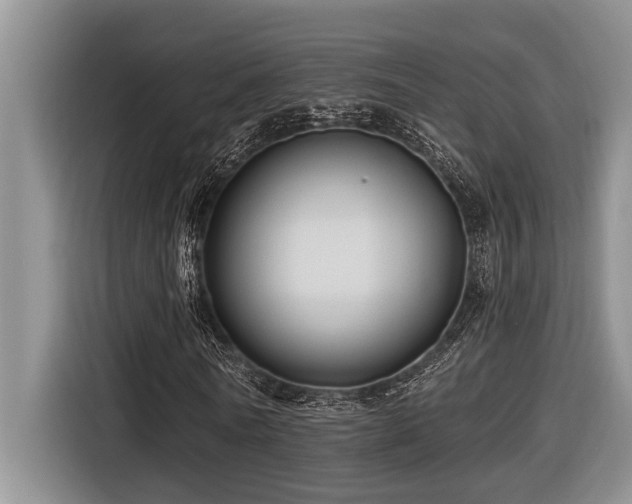 X0000116550770200912101413