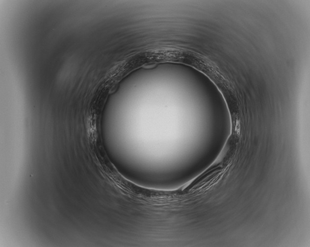 X0000116550771200912101413