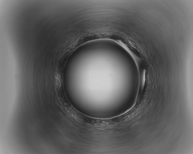 X0000116550772200912101413