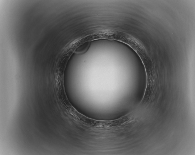 X0000116550773200912101413